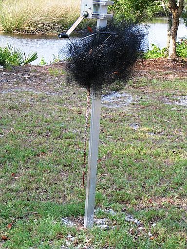 Snake in bird netting below pole guard