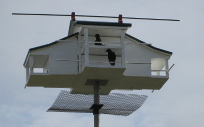 See metal mesh square mounted under house -- has very sharp edges all around.