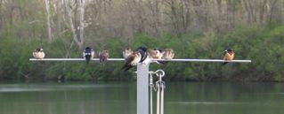 IMG_2376.jpg