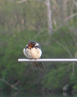 IMG_2376_2.jpg