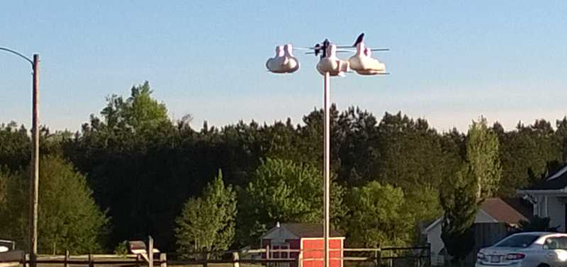 WP_20140426_002.jpg
