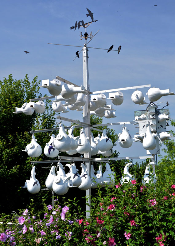 The weathervane is on top of my gourd rack