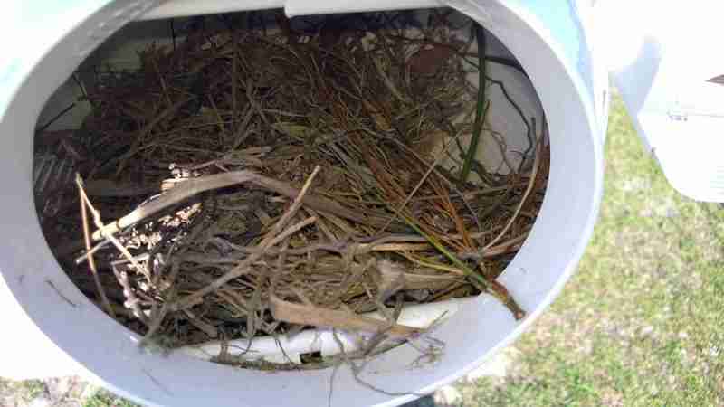 nest.jpg