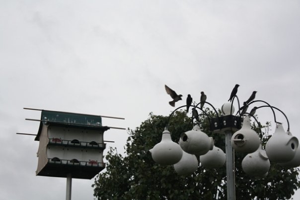 tri tel pole.jpg