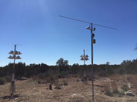 Perching Rods made of 3/8" hollow rods from Ace Hdw. They are mounted on the old gourd pole along with two Foscam infra-red wireless webcams.