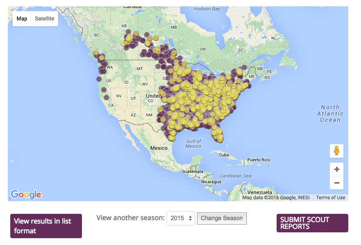 2015 dots.png