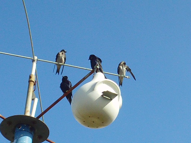 DSC00140.jpg