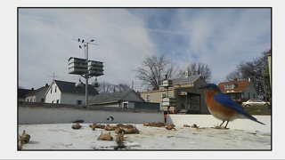 IMG_0276.PNG