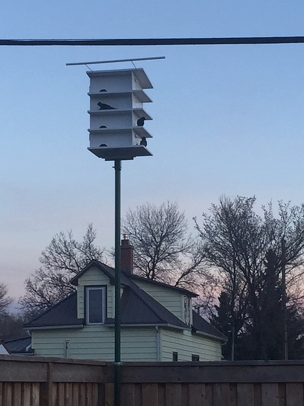 April18 2019.jpg