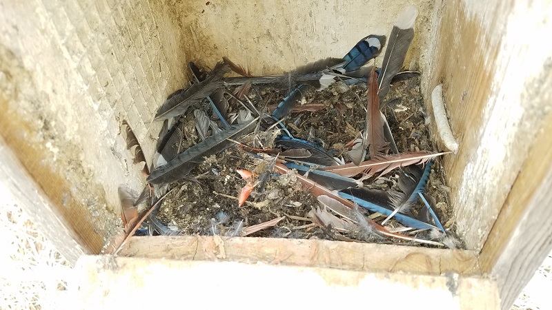 Kestrel House 2019 Reduced.jpg