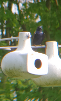 PM2.PNG