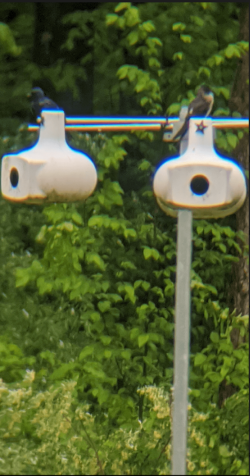 PM3.PNG