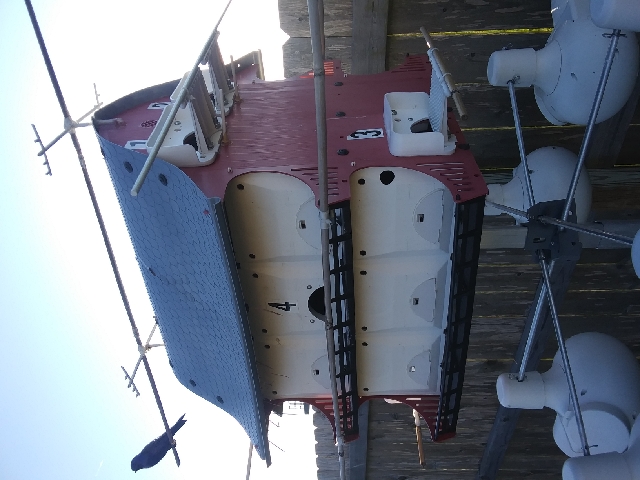 20210202_162457_resize_22.jpg