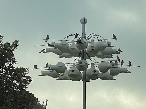 First Flight Committee.jpeg