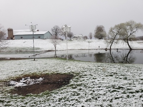 20190427_182608 -1.jpg