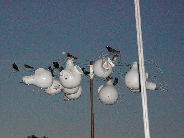 P1010156.JPG