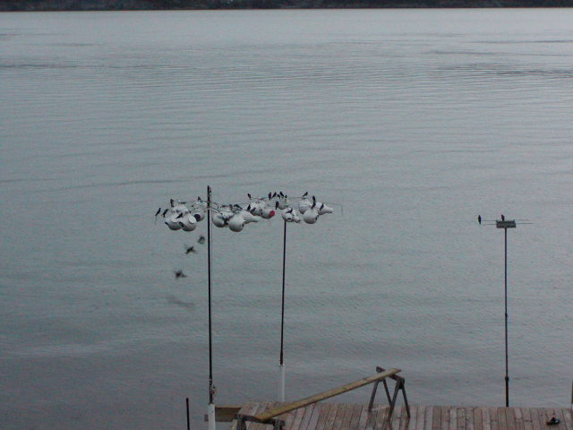 P1050218.JPG