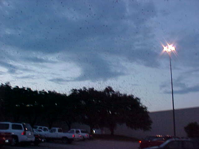 these photos were taken last night at the roost. thousands of martins, a million thrills!!!!!!