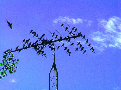 Aug 21 2005 016.jpg