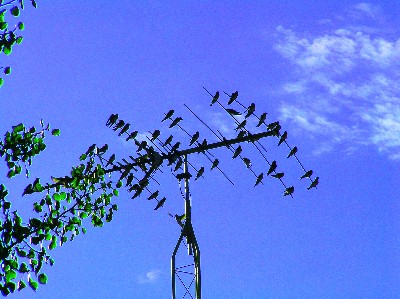 Aug 21 2005 014.jpg