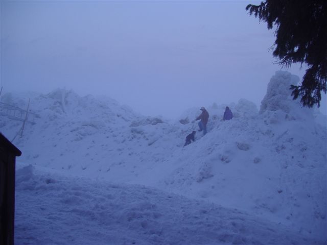 PC160016.JPG