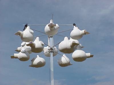 Natural Gourds with WDC Tunneled Entrances on Deluxe Gourd Rack.