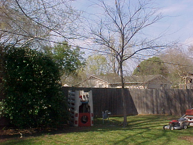 Here's the back of the yard...  Do you foresee any problems with putting it up along this fenceline?