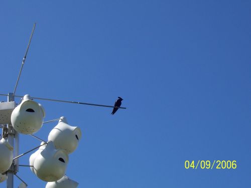 This pic was taken by me, Randall Duhon.