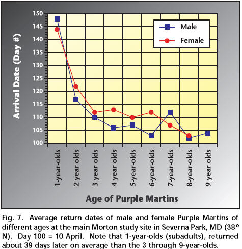 By Dr. Eugene S. Morton