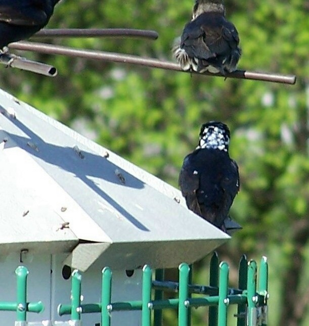 Taken at my home colony