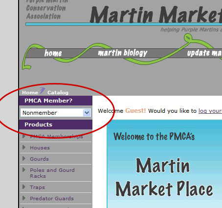Shows where to select your member status while shopping online.