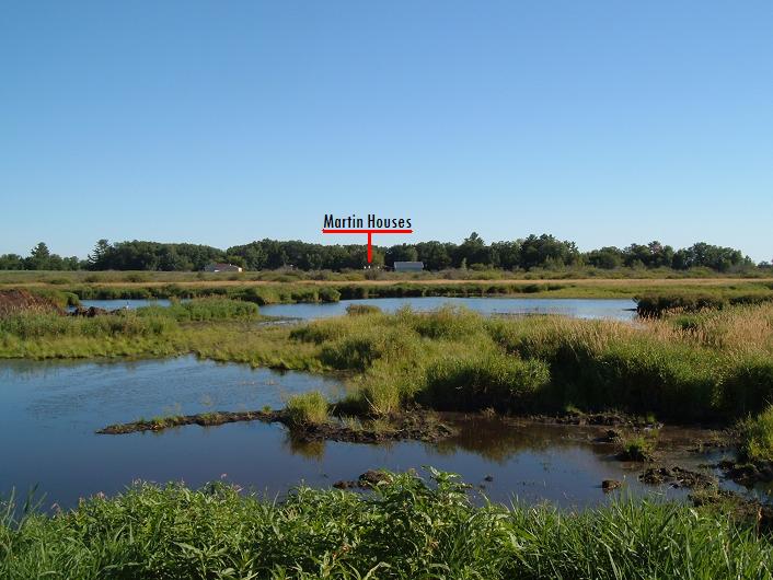 This is a picture of the pond that is 1/4 miles from the martin houses - should be big enough for the martins???