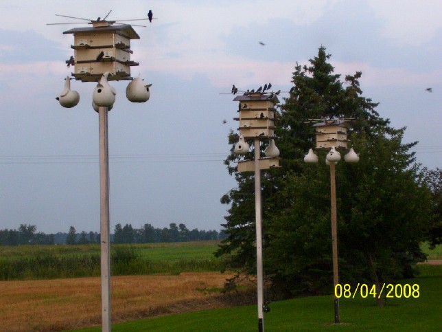 100_1446-25.jpg