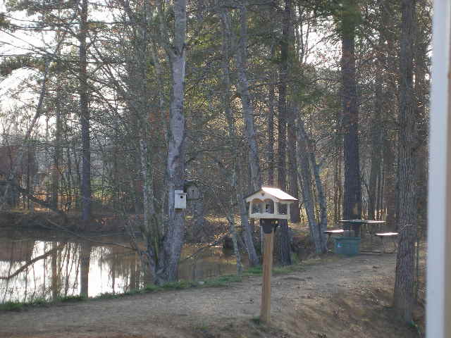 feeder and blue bird houses by Norma Lancaster taken 3-10-2009 from front porch