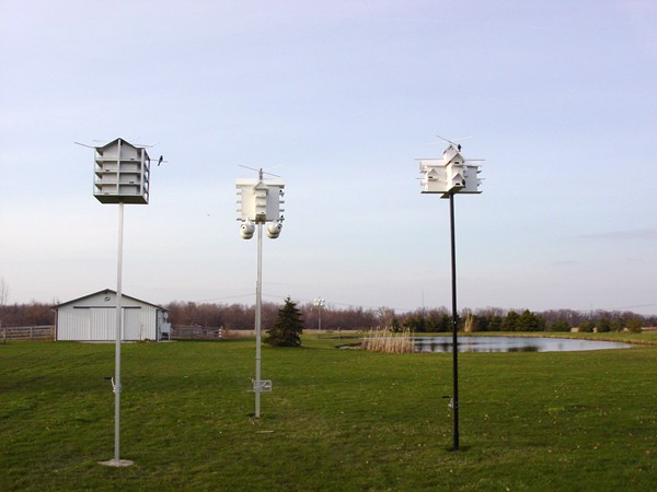 Picture of my site 2009 - my yard view.