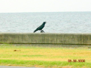 low res 2.JPG