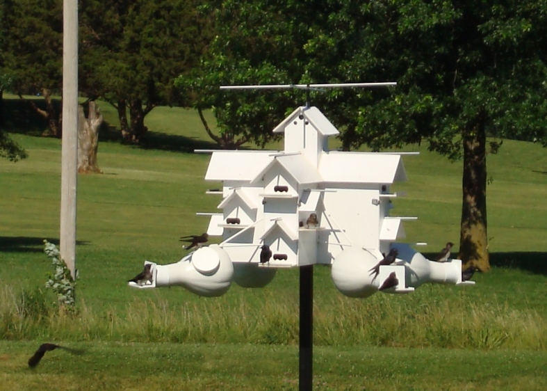 Close-up of house #2