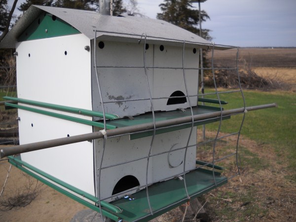 The fencing is attached at the top with a couple fence wires bent down and hooked to the roof and on the bottom a single 12 gauge cooper through the bottom floor.