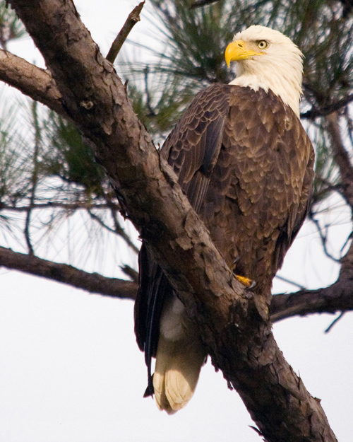 Photo by John Nowicki