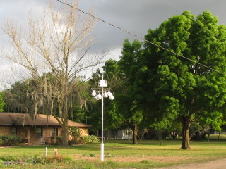 2009 site with trees in back ground