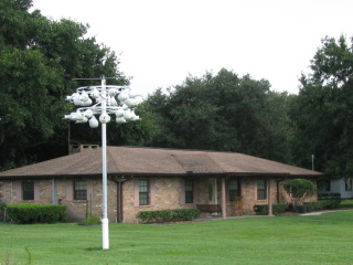 Site after tree removal