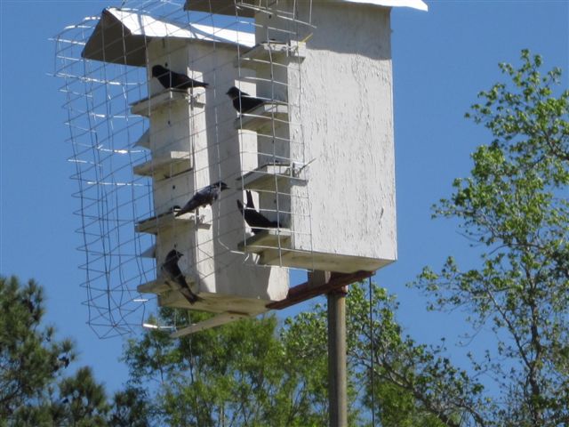 Wire basket around houses.