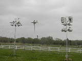 Our not too happy Martins on a stormy day in TN