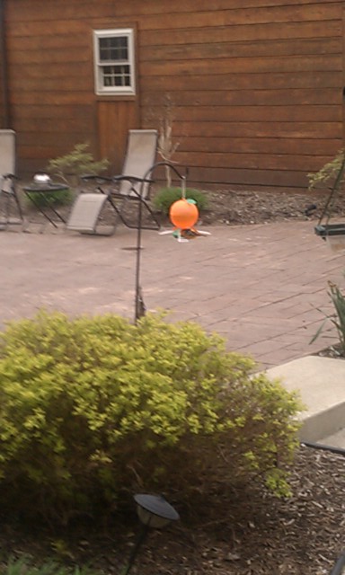 IMAG0032.jpg