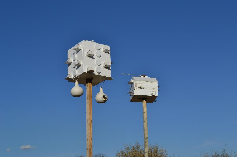 "Borg" house plus an older 10 unit Styrofoam house I built that has had 100% occupancy since 2006.  Both houses 100% SREH