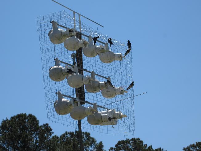 Cage around gourd rack