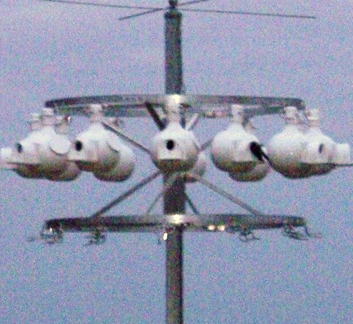rsz_1first_martin_2012_001.jpg