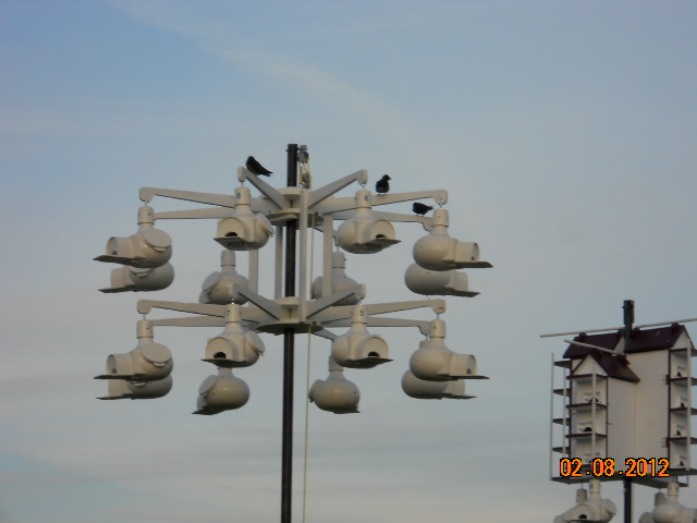Camera 2-10-12 052.JPG