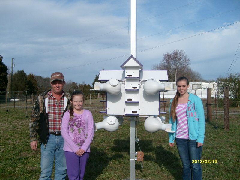 purplemartin 005.jpg